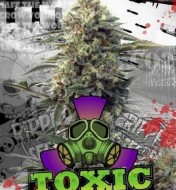 Toxic