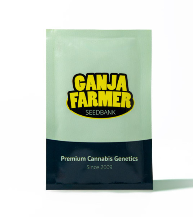 Wifi OG Haze - Ganja Farmer