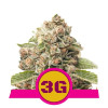 Triple G REBAJAS