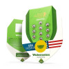 Watermelon Automatic REBAJAS
