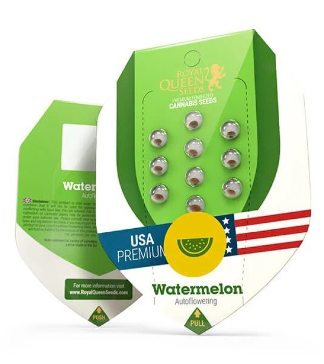 Watermelon Automatic REBAJAS