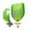 Haze Berry Auto REBAJAS