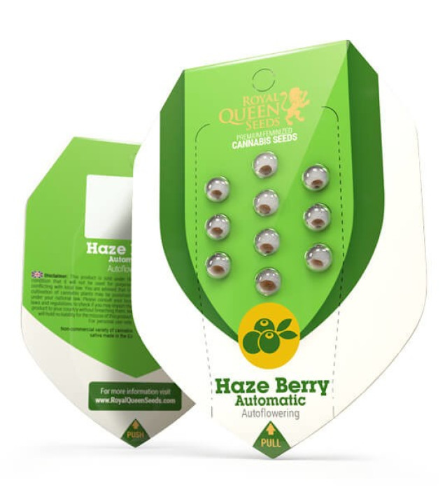 Haze Berry Auto REBAJAS