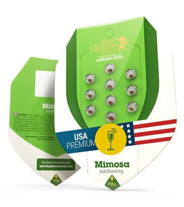 Mimosa Automatic REBAJAS