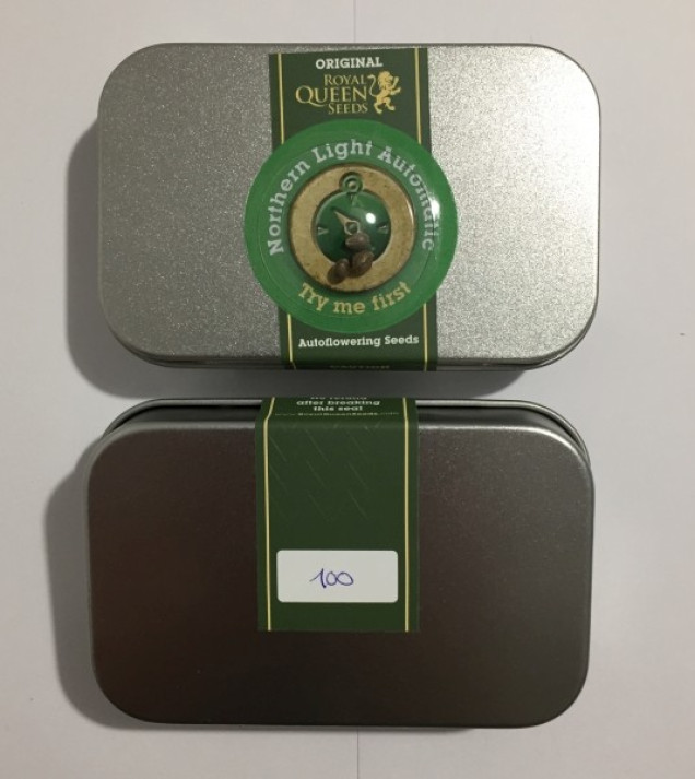 Northern Light Automatic REBAJAS
