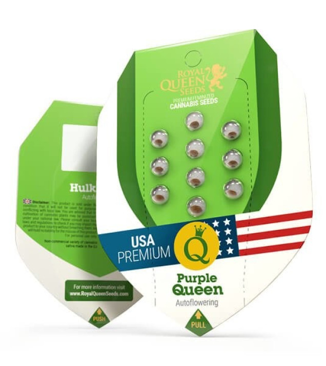 Purple Queen Auto REBAJAS