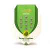 Royal Cookies Autoflowering REBAJAS