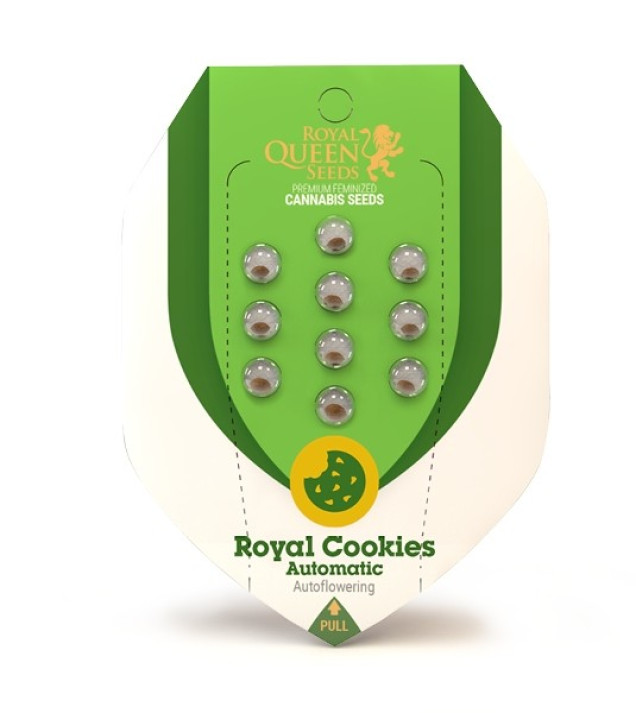 Royal Cookies Autoflowering REBAJAS