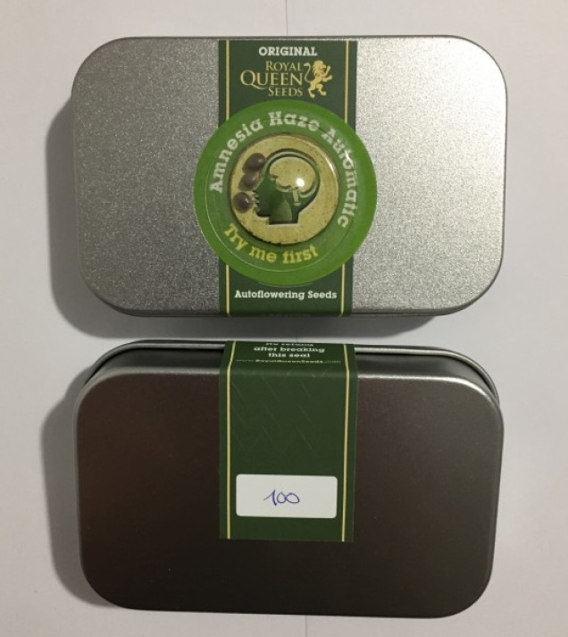 Amnesia Haze Automatic REBAJAS