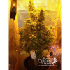 Amnesia Haze Automatic REBAJAS