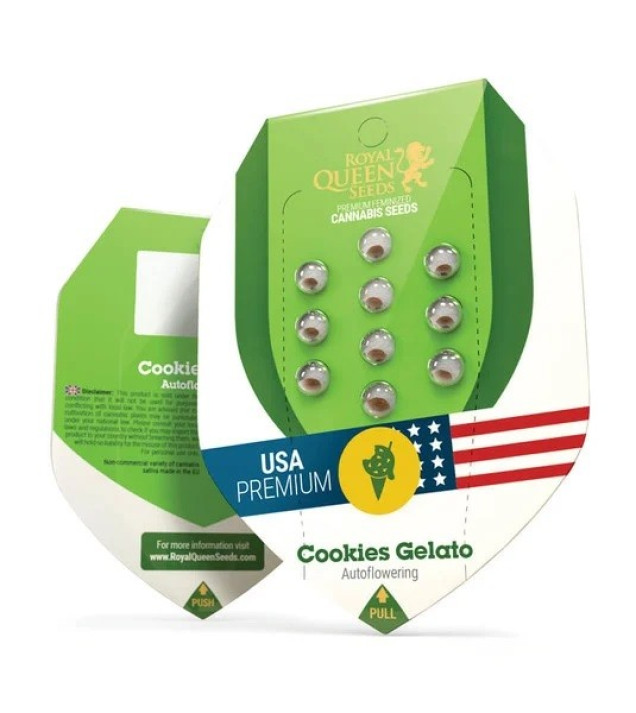 Cookies Gelato Auto REBAJAS