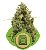 Diesel Automatic REBAJAS