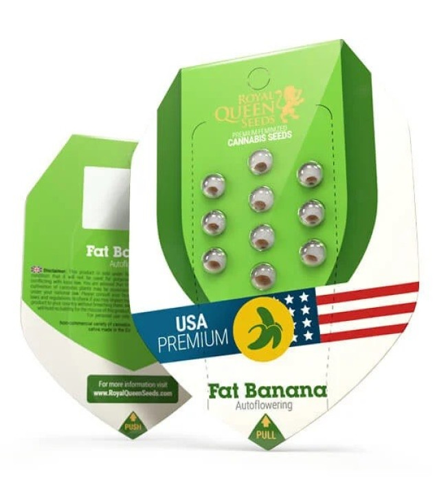 Fat Banana Automatic REBAJAS