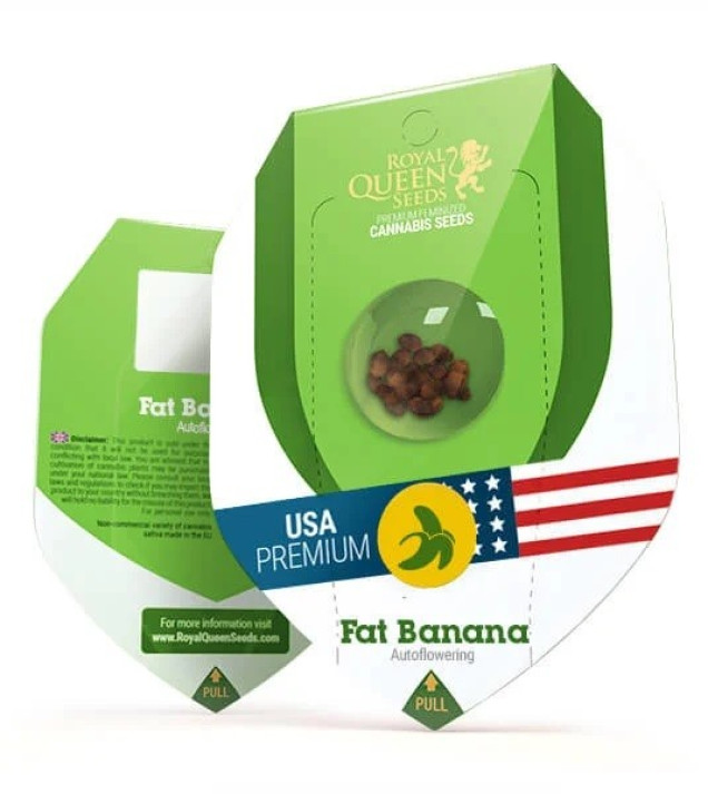 Fat Banana Automatic REBAJAS
