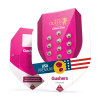 Gushers REBAJAS
