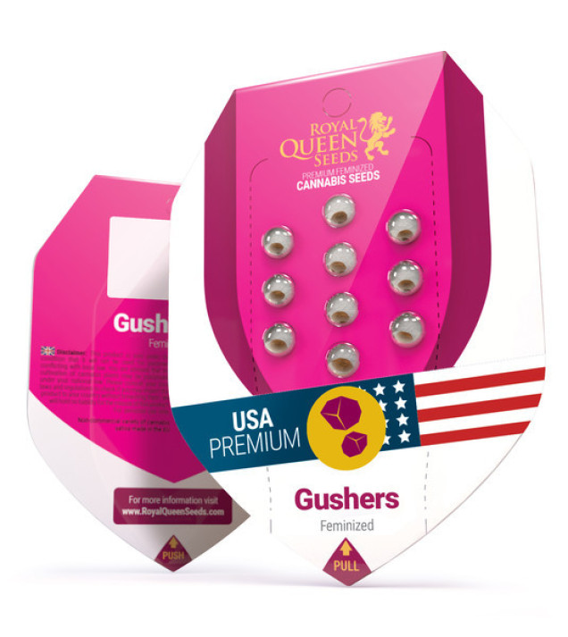 Gushers REBAJAS