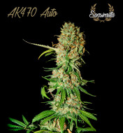 AK 470 Auto