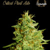 Critical Plant Auto