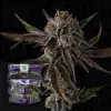Purple Preserves
