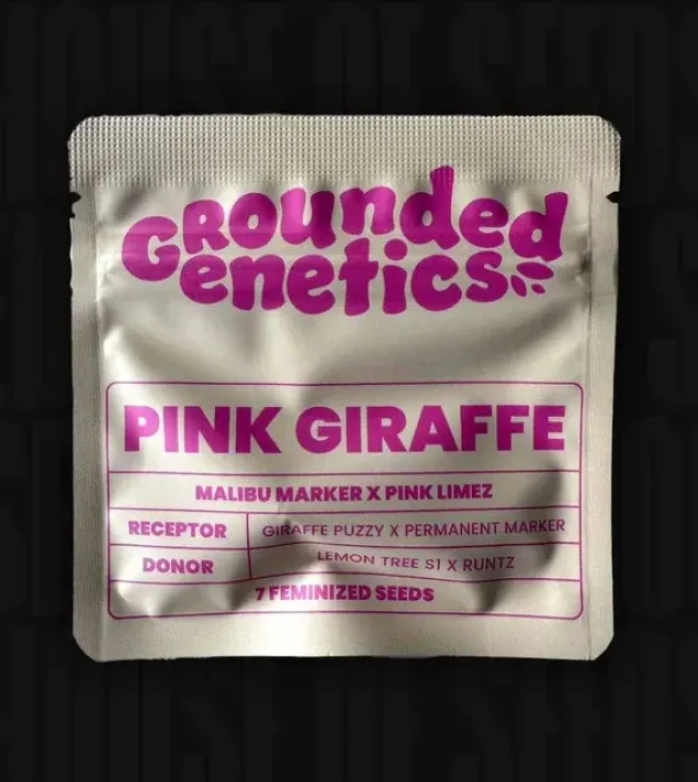Pink Giraffe