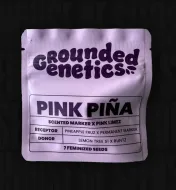 Pink Pina