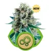 Bubble Kush Automatic REBAJAS