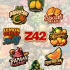 Mix Pack