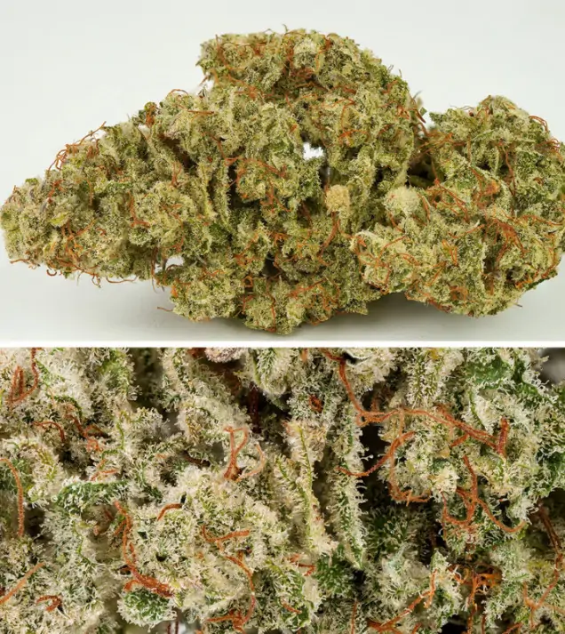 Auto SFV OG REBAJAS