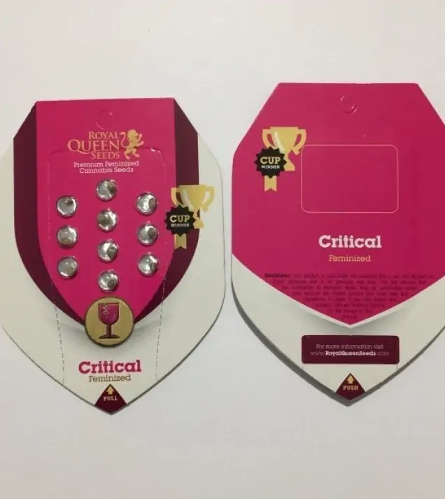 Critical REBAJAS