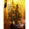 Amnesia Haze Automatic REBAJAS
