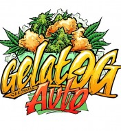 Gelat.OG Auto
