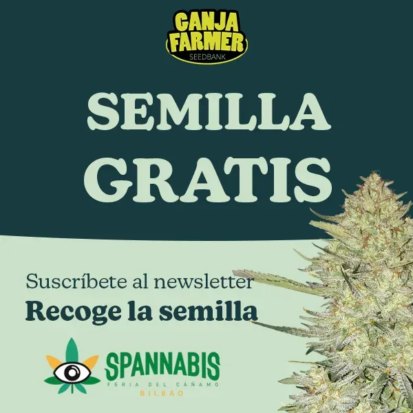 Semilla gratis