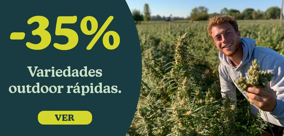 -35% Semillas de marihuana de r&aacute;pido crecimiento para exterior