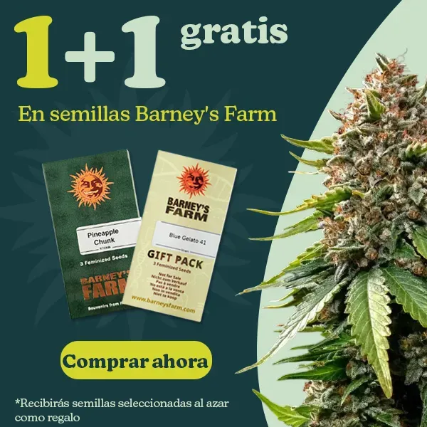 Barney's Farm 1+1