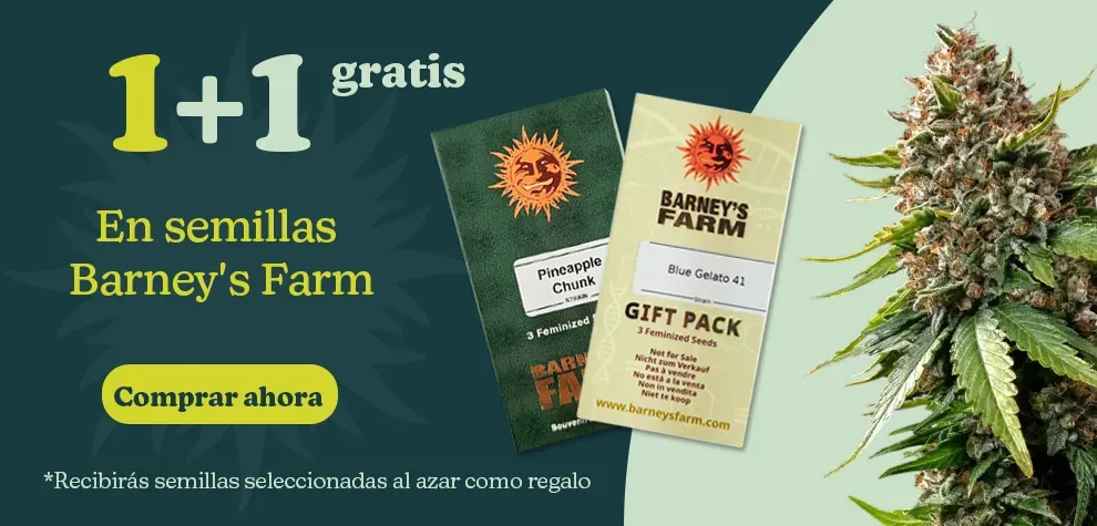 Barney's Farm 1+1