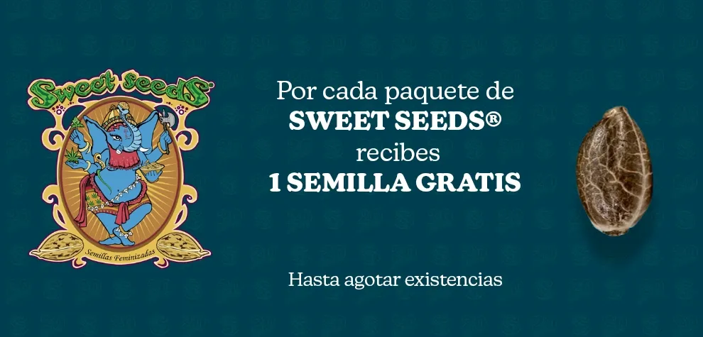 Semilla gratis de Sweet Seeds