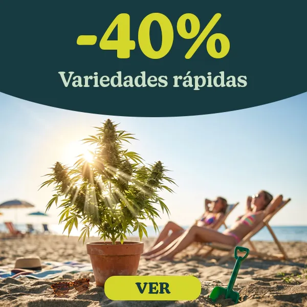 -40% Variedades de crecimiento r&aacute;pido