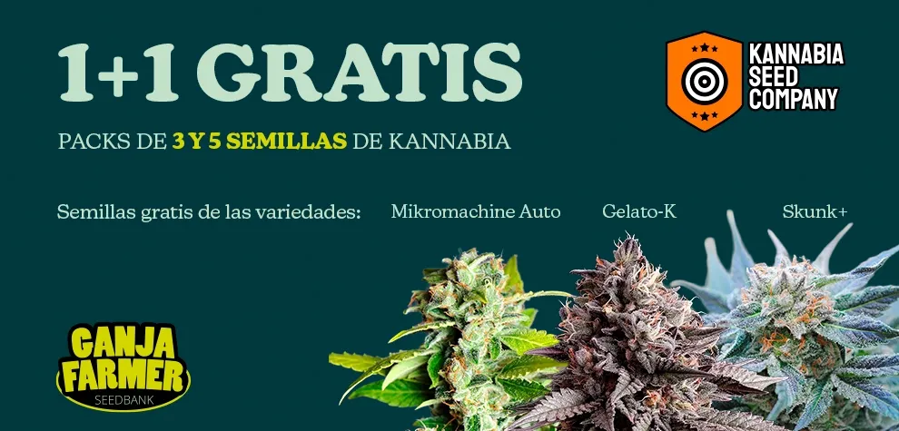 Kannabia 1+1