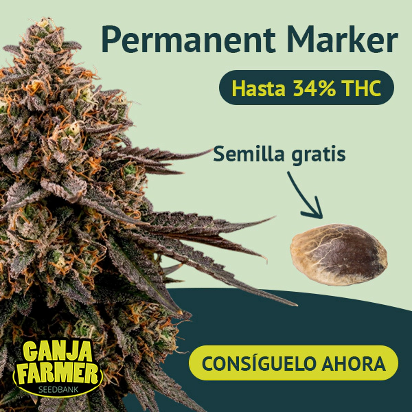 Dołącz do newslettera