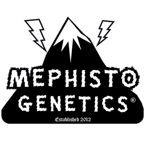 Mephisto Genetics